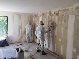 Asbestos and Lead Testing During Mold Inspection in Castle Rock, CO